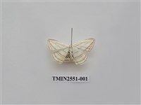 藏品(尺蛾41)的圖片